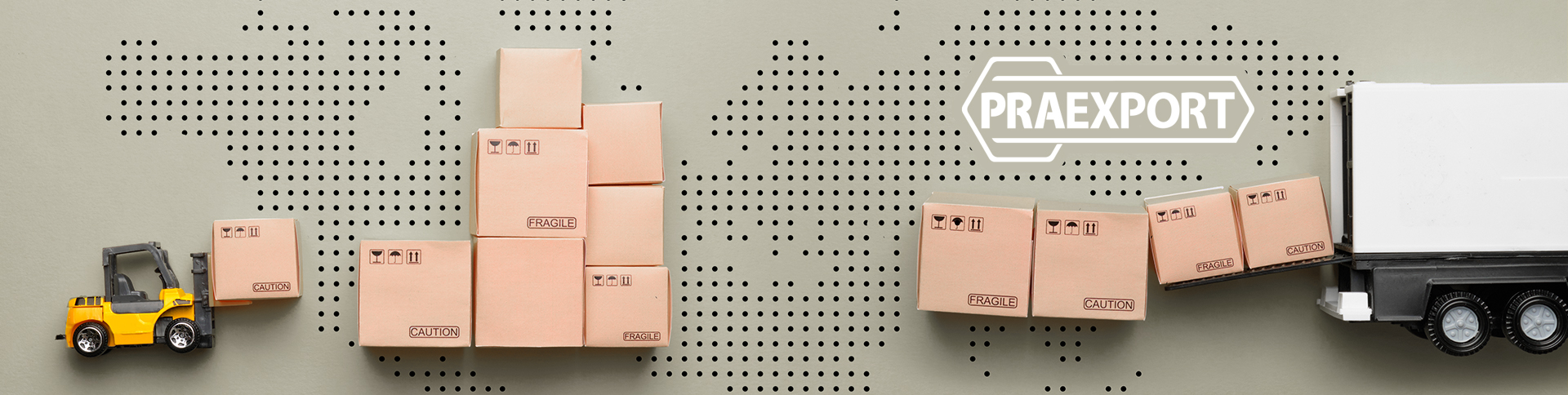 PraExport E-İhracat Danışmanlık Hizmetleri